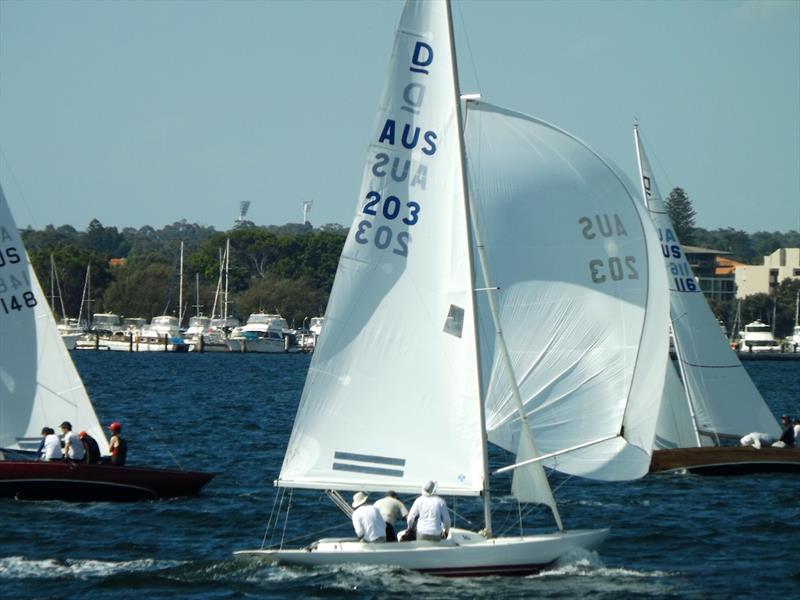 Andrew Foulkes' AUS203 on day 4 of the Prince Philip Cup Australasian Dragon Championship in Perth - photo © Jonny Fullerton