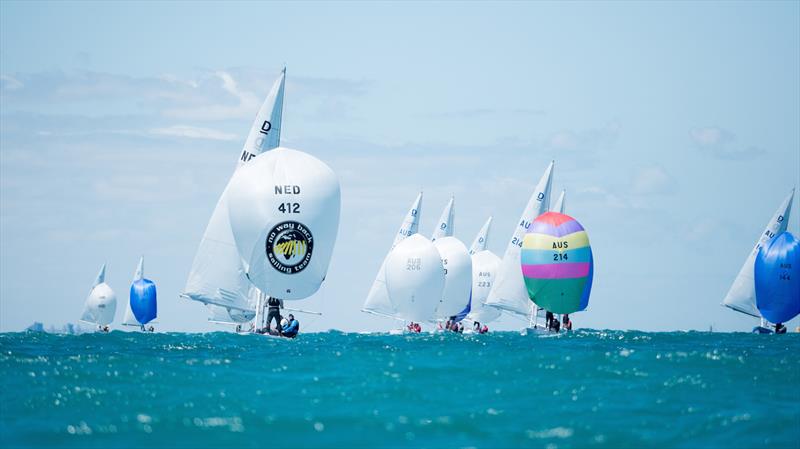 NED412 Pieter Heerema on day 1 of the Dragon World Championship in Fremantle photo copyright Tom Hodge Media taken at Fremantle Sailing Club and featuring the Dragon class