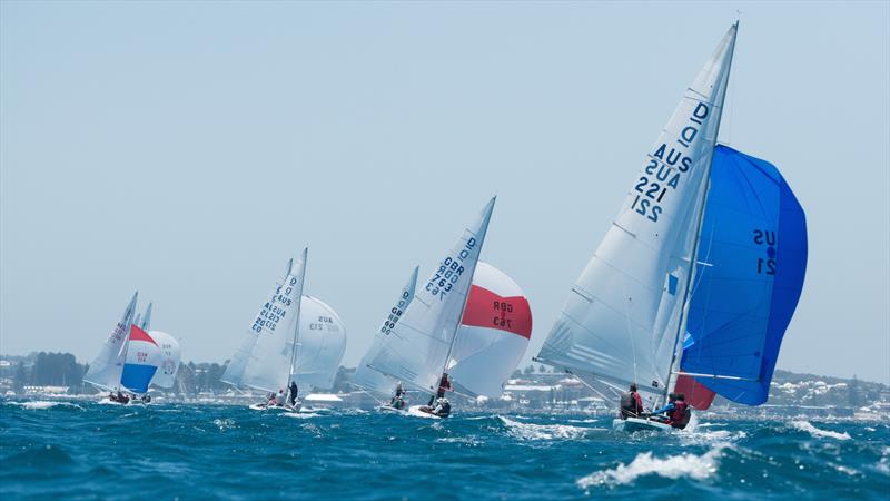 Downwind during race 6 on day 4 of the 2019 Dragon World Championship photo copyright Tom Hodge Media taken at Royal Freshwater Bay Yacht Club and featuring the Dragon class
