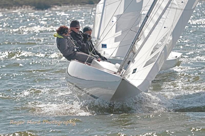 'Scorpio' upwind during the Royal Corinthian Yacht Club 2019 Dragon Easter Regatta photo copyright Roger Mant Photography taken at Royal Corinthian Yacht Club, Burnham and featuring the Dragon class