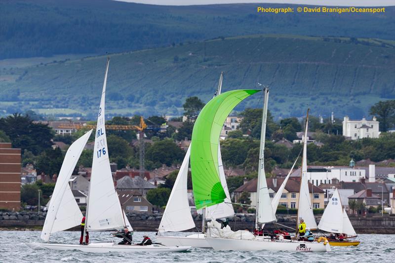 Volvo Dun Laoghaire Regatta 2019 day 2 photo copyright David Branigan / Oceansport taken at  and featuring the Dragon class