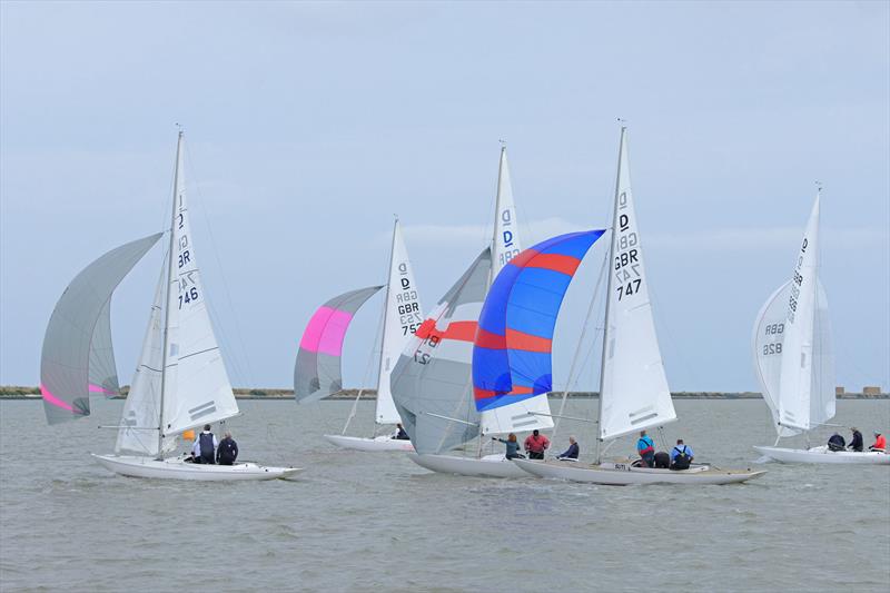 Dragon East Coast Championships 2021 at Burnham photo copyright Roger Mant taken at Royal Corinthian Yacht Club, Burnham and featuring the Dragon class