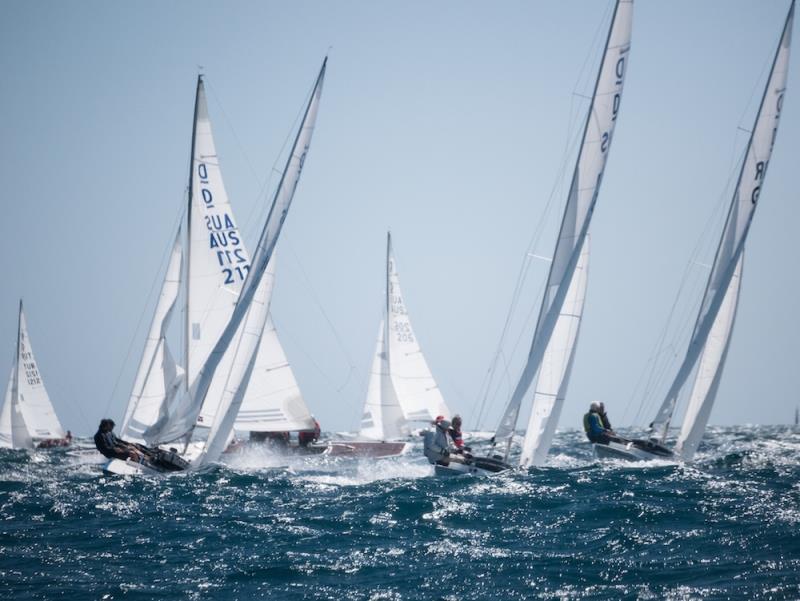 Dragons upwind - Australasian Dragon Championship, Day 1 of the Prince Philip Cup photo copyright Tom Hodge Media taken at Fremantle Sailing Club and featuring the Dragon class