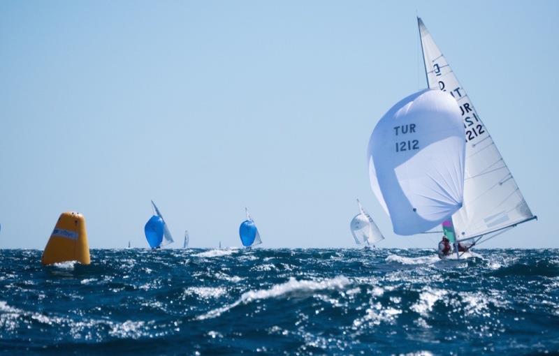 TUR1212 Provezza - Australasian Dragon Championship for the Prince Philip Cup, Day 2 photo copyright Tom Hodge Media taken at Fremantle Sailing Club and featuring the Dragon class