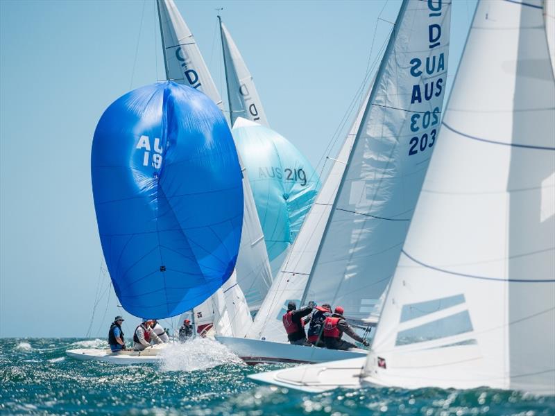 Day 2 - 2019 Dragon World Championship at Fremantle - photo © Tom Hodge Media