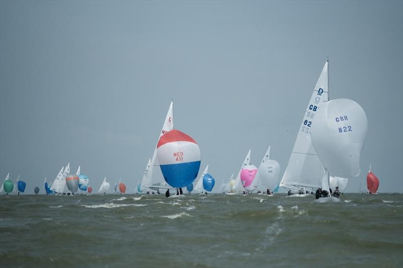 Day 2 - 2019 Yanmar Dragon Gold Cup photo copyright Eric van den Bandt taken at Royal Yacht Club Hollandia and featuring the Dragon class