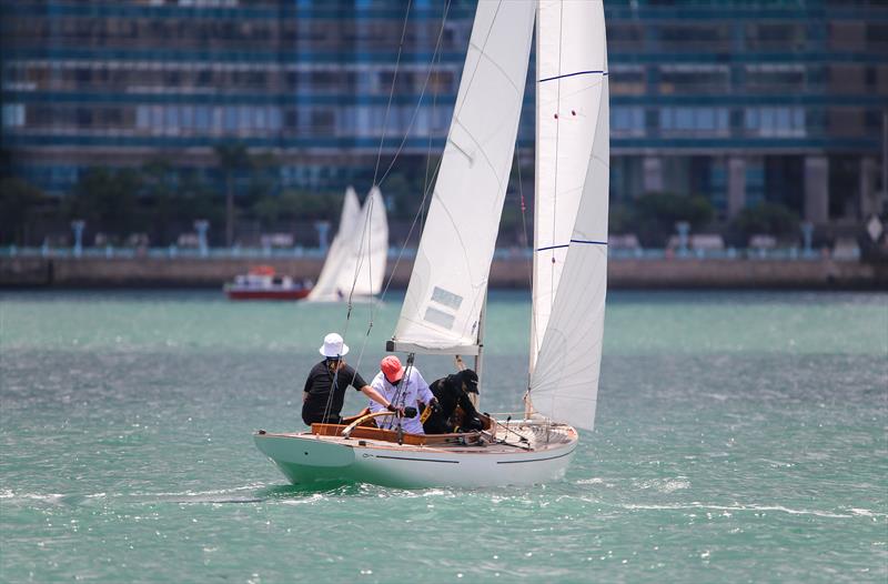 Jessica Chan - Davinloong photo copyright RHKYC / Guy Nowell taken at Royal Hong Kong Yacht Club and featuring the Dragon class