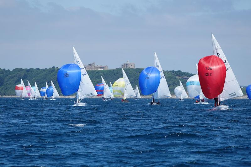 Dragon Edinburgh Cup 2022 photo copyright Miles Carden taken at Royal Cornwall Yacht Club and featuring the Dragon class