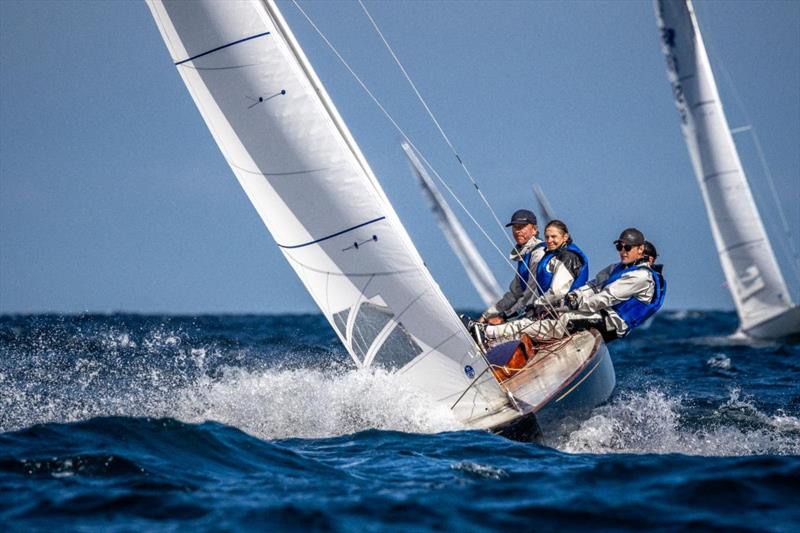 Yanmar Dragon Gold Cup 2023 photo copyright Alex Irwin / www.sportography.tv taken at Royal Torbay Yacht Club and featuring the Dragon class