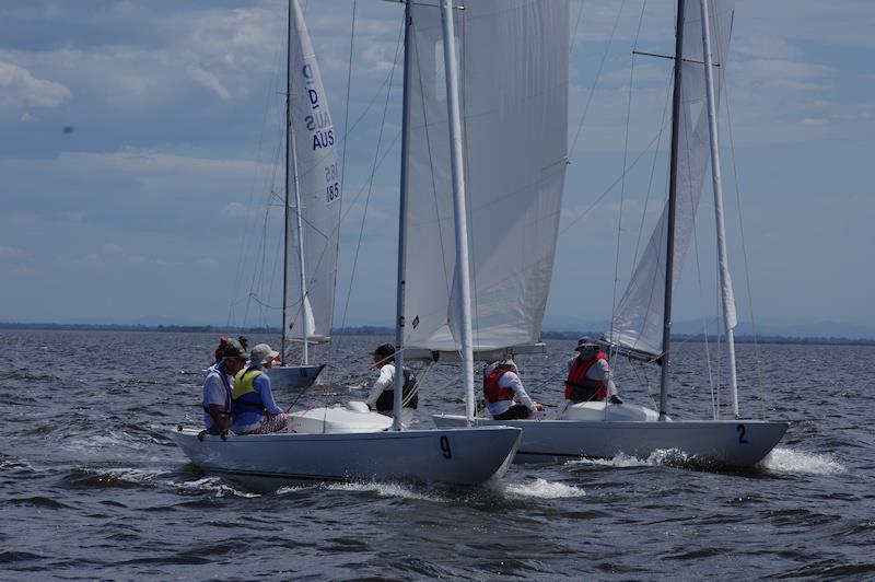 Pennyfarthing and Adios III, with Plum Crazy in the background, on day one of the 2024 International Dragon Class Prince Philip Cup - photo © Jeanette Severs