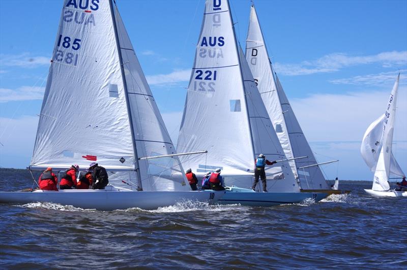 Plum Crazy, Saphira and Trio chase Imagination around the windward gate photo copyright Jeanette Severs taken at Metung Yacht Club and featuring the Dragon class