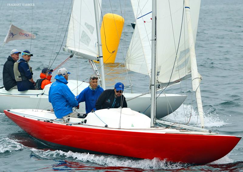 Wyuna with Sytske Kimman driving during Monsoon Spring Series 2024 Race 2 photo copyright HHYC taken at Hebe Haven Yacht Club and featuring the Dragon class