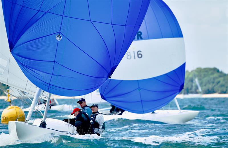 Ladies Day (Tuesday) at Cowes Week 2025 photo copyright Tom Hicks / www.solentaction.com taken at Cowes Combined Clubs and featuring the Dragon class