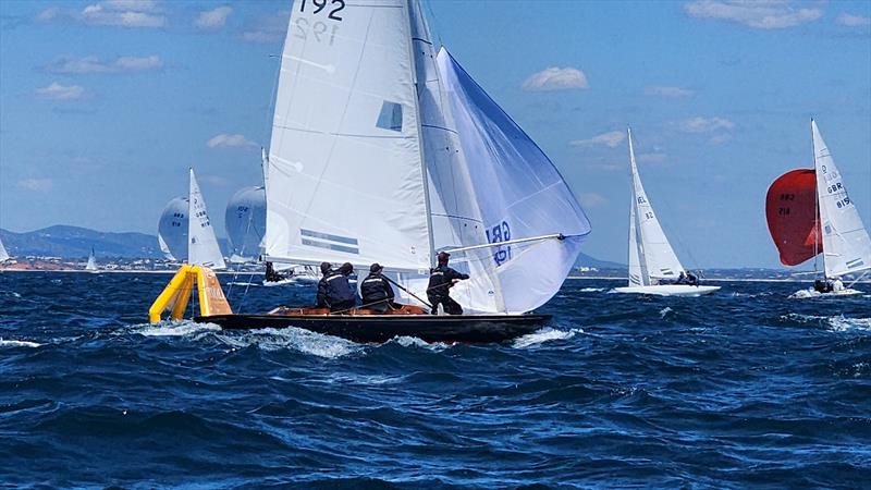 Team Bluebottle racing in May 2025 photo copyright Emma York taken at Vilamoura Sailing and featuring the Dragon class