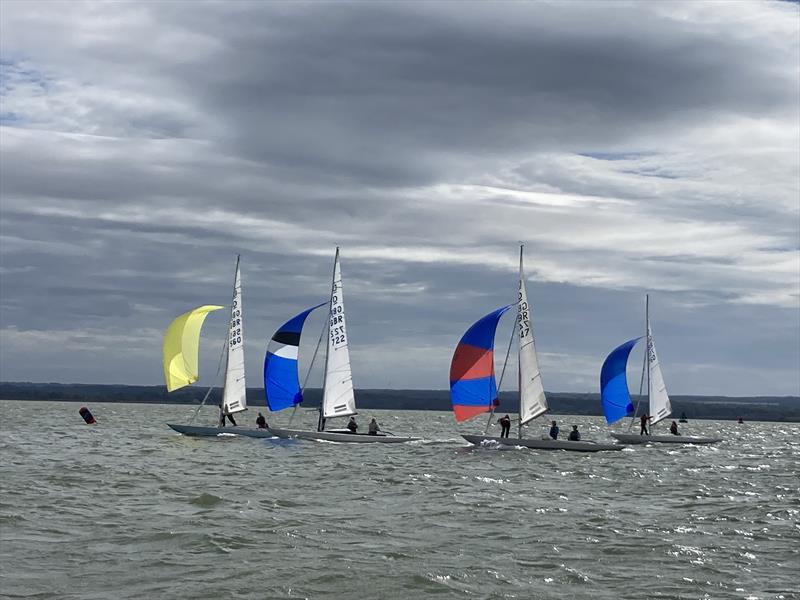 Dragon East Coast Championship 2026 on the Medway - photo © Catherine Gore
