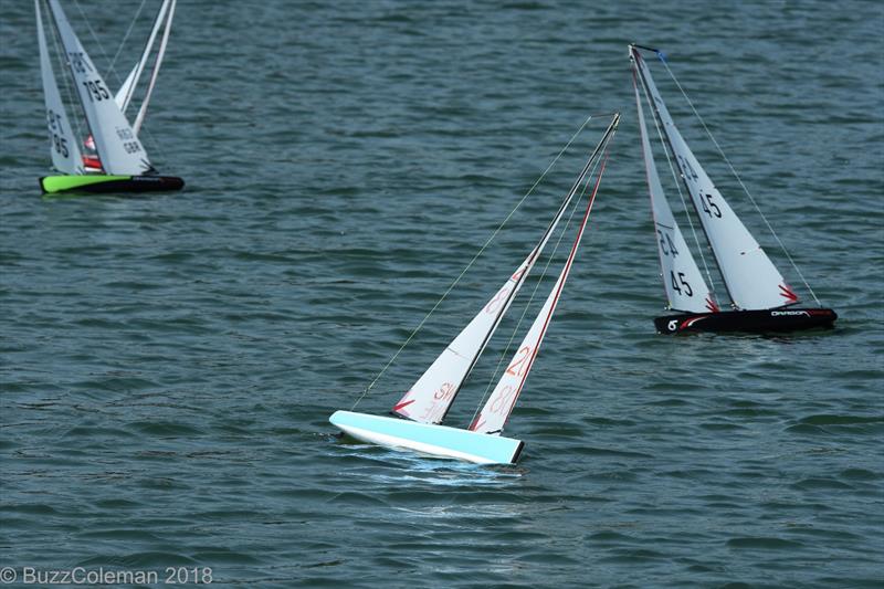 Upwind during the DF65 Nationals at Gosport photo copyright Buzz Coleman & Tim Long taken at Gosport Model Yacht & Boat Club and featuring the RG65 class