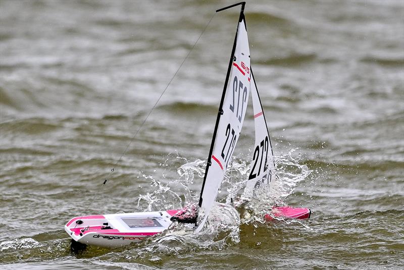 Wild conditions - DF65 National Championship at Barton's Point photo copyright Dave Budden taken at East Kent Radio Sailing Club and featuring the RG65 class
