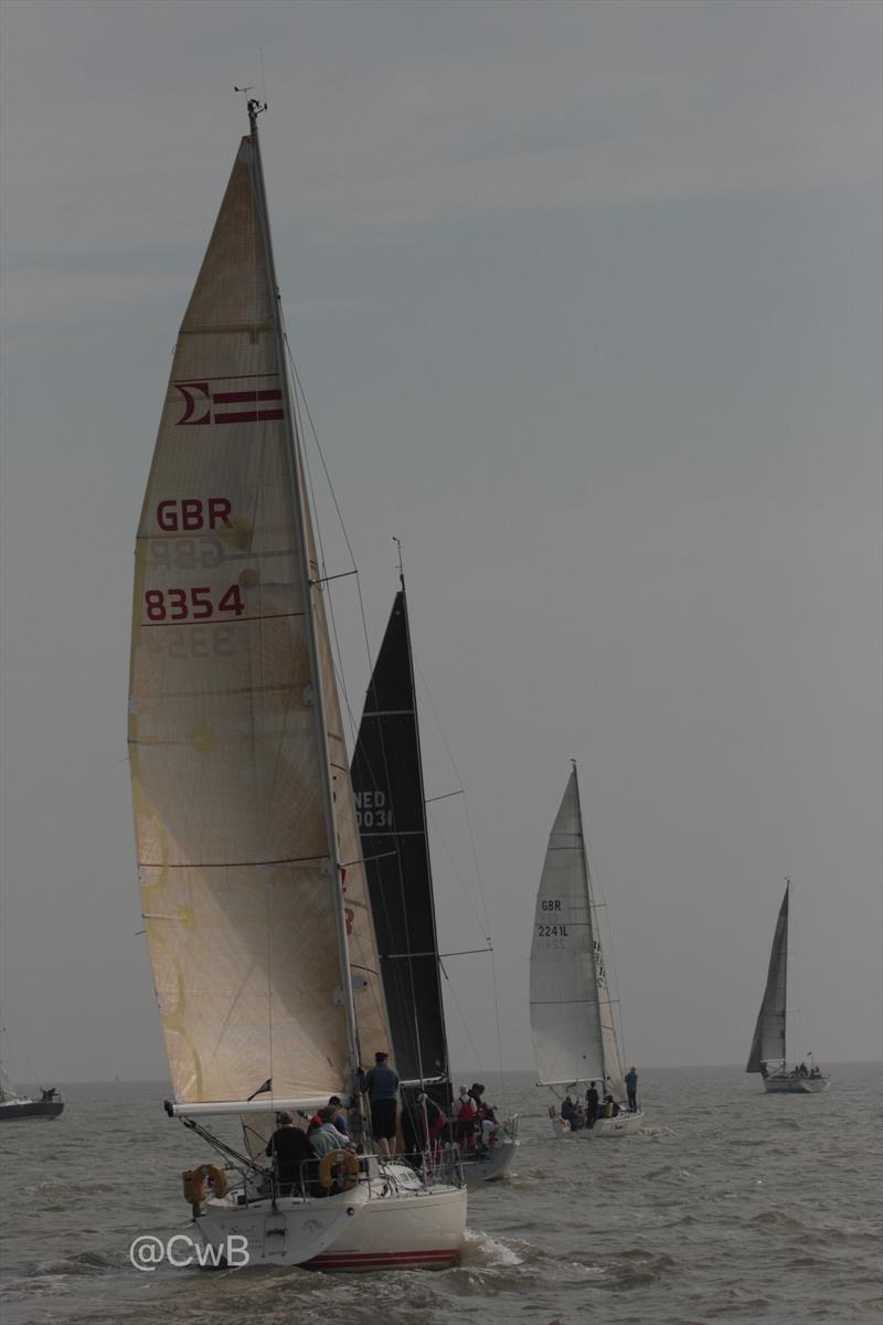 EAORA Offshore Regatta 2021 photo copyright Caroline Bolingbroke taken at  and featuring the EAORA class