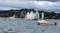 Elliott 5.9 Traveller Series - Opua - September 2023 © Elliott 5.9