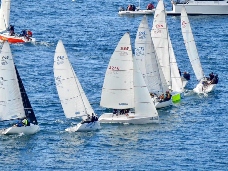 Elliott 5.9's are expected to have close racing for the 2022 Travellers Trophy at Sandspit photo copyright Elliott 5.9 Assoc taken at  and featuring the Elliott 5.9 class