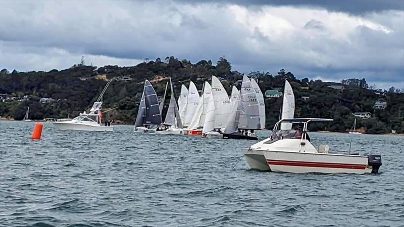 Elliott 5.9 Traveller Series - Opua - September 2023 photo copyright Elliott 5.9 taken at Bay of Islands Yacht Club and featuring the Elliott 5.9 class