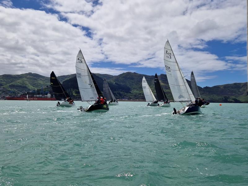 Elliott 5.9s sailing in the 2023 South Island Southern Circuit photo copyright Elliott 5.9 taken at  and featuring the Elliott 5.9 class