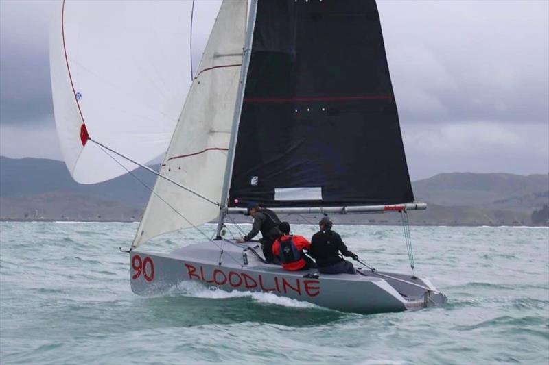 Burnsco Elliott 5.9 Nationals will be sailed at Marsden Cove from March 14-16, 2024 photo copyright Elliott 5.9 Assoc taken at Royal Akarana Yacht Club and featuring the Elliott 5.9 class