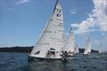 NSW Sailing League © Royal Prince Alfred Yacht Club