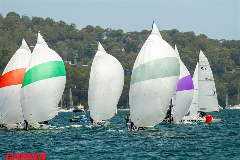 Harken Open Championship 2020 photo copyright Brendan Rourke taken at Royal Prince Alfred Yacht Club and featuring the Elliott 6m class