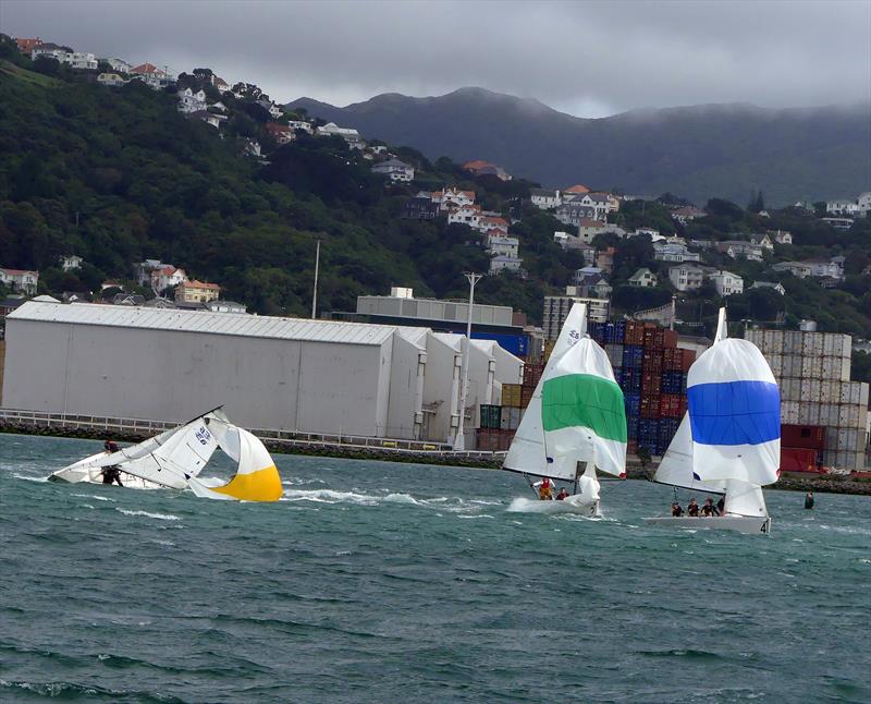 CentrePort Wellington International Youth Match Racing Regatta - photo © Irina Winsley