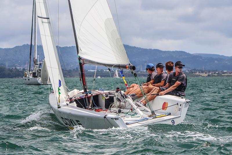 Nick Egnot-Johnson photo copyright Andrew Delves taken at Royal New Zealand Yacht Squadron and featuring the Elliott 6m class