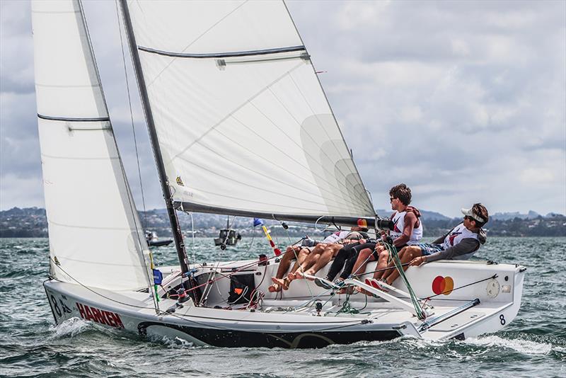 Jack Parkin photo copyright Andrew Delves taken at Royal New Zealand Yacht Squadron and featuring the Elliott 6m class