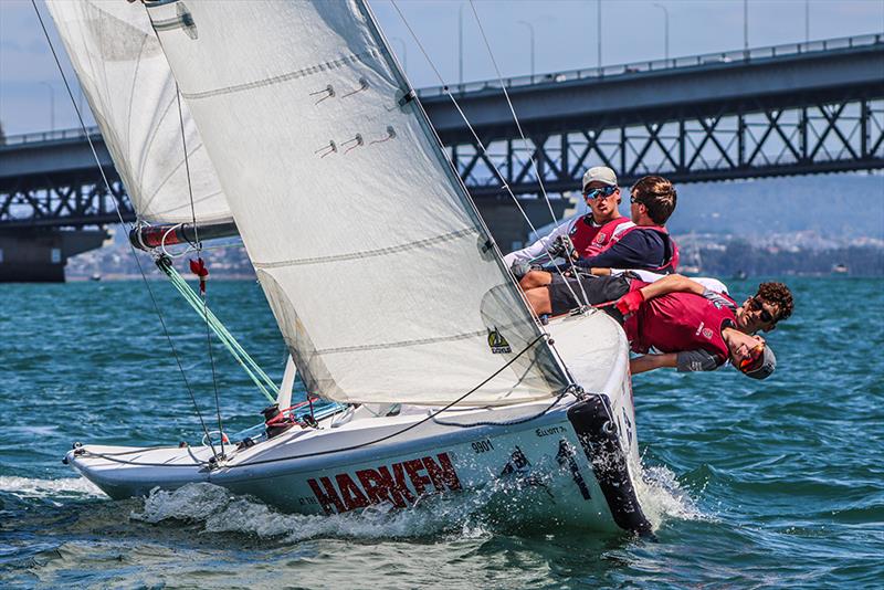 Kings College - Harken National Secondary Schools Keelboat Championships - Waitemata Harbour - 2020 photo copyright Andrew Delves taken at  and featuring the Elliott 6m class