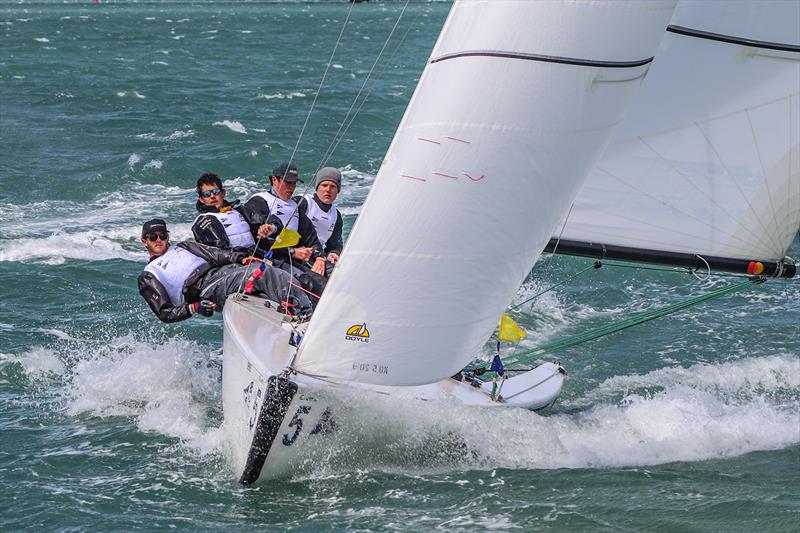 NIall Malone - Yachting Developments NZ Match Racing Championships, October 2020 photo copyright Andrew Delves taken at Royal New Zealand Yacht Squadron and featuring the Elliott 6m class