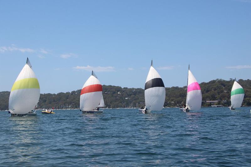 NSW Sailing League photo copyright Royal Prince Alfred Yacht Club taken at Royal Prince Alfred Yacht Club and featuring the Elliott 6m class