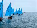 Start Race 4 during the Enterprise SW Area Championship at Looe © Brian Bowdler