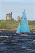 Enterprise racing at Tynemouth Sailing Club &copy; Neil Piper