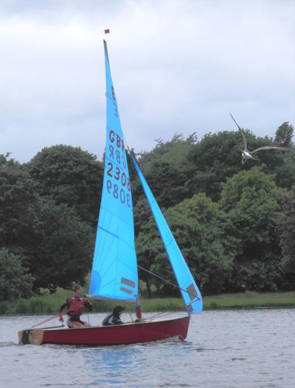 Jonathan Woodward and Jenny Chen Andronis win the Enterprise Double Chine series meeting at Midland SC photo copyright Timothy Harms taken at Midland Sailing Club and featuring the Enterprise class