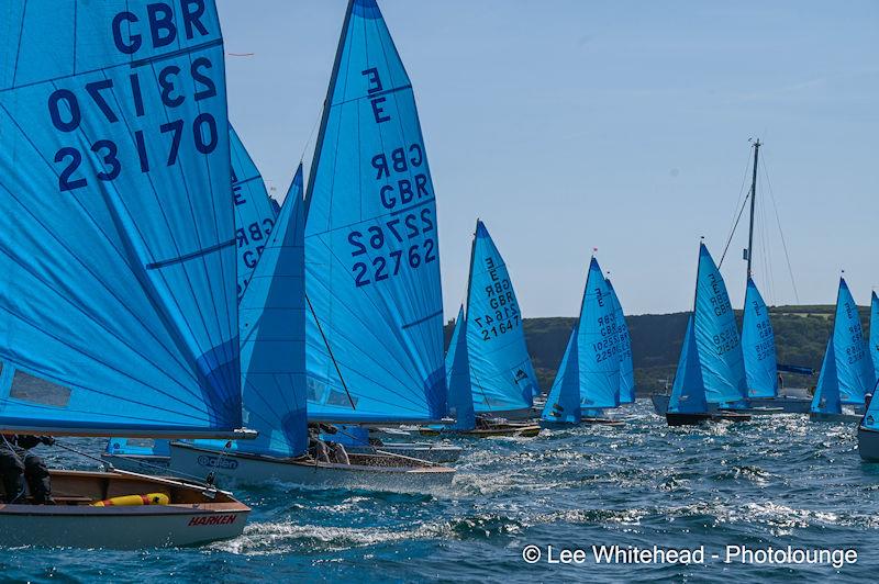  バード  Grouse-FinnFest 2020 Enterprise National Championships at Penzance Sailing Club - Day 2