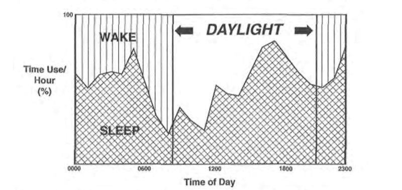 Polyphasic sleep in a rodent - photo © Global Solo Challenge