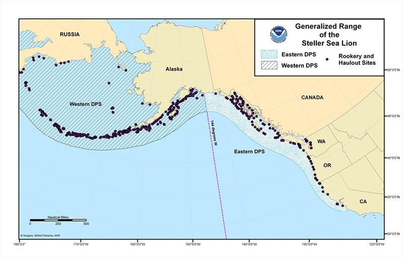 Map showing range for western and eastern distinct population segments of Steller sea lions - photo © NOAA Fisheries