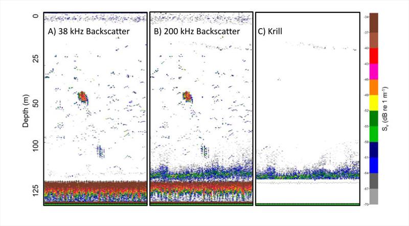 Echograms from the uncrewed surface vehicle survey demonstrating how scientists identify krill acoustically. Krill have relatively weak acoustic scattering at 38 kHz (A) and relatively strong acoustic scattering at 200 kHz (B) photo copyright NOAA Fisheries taken at  and featuring the Environment class