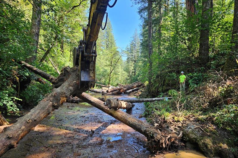Tapani, Inc. heavy machinery operators and ground crew add structure and woody stems to the Wildboy Creek as part of the NOAA-funded Kwoneesum Dam removal project with Cowlitz Indian Tribe photo copyright Cowlitz Indian Tribe taken at  and featuring the Environment class
