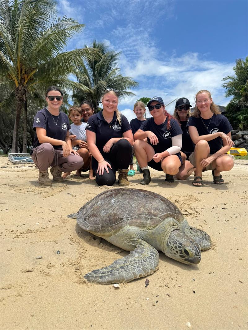 Eco Barge Turtle Release on Clean Up Australia Day - photo © Coral Sea Marina