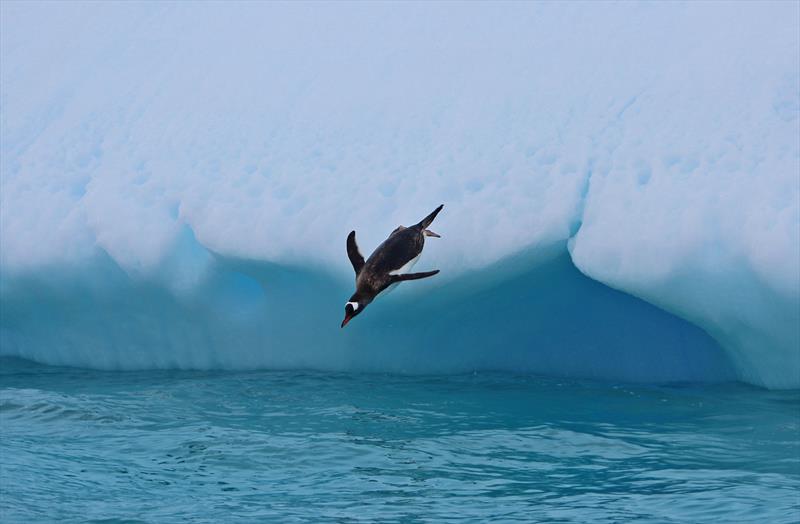 VV Environment Penguin Jump photo copyright Vuelta Vertical taken at  and featuring the Environment class