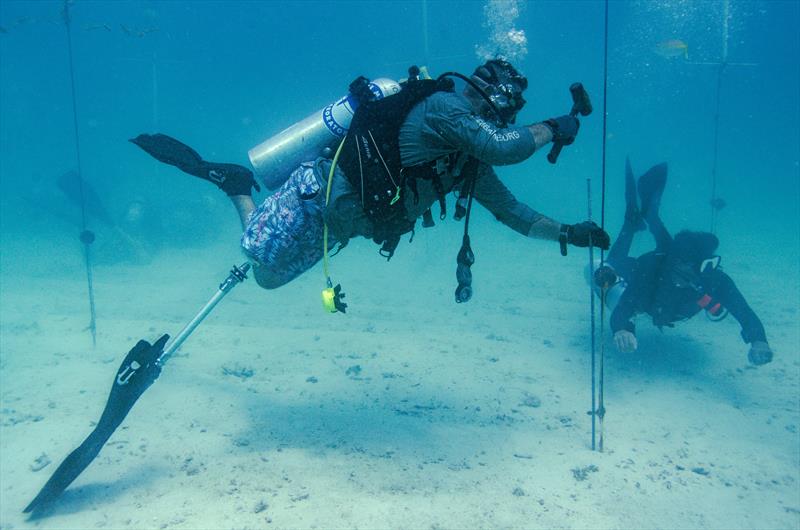 Mote Marine Laboratory collaborates with combat wounded veterans and students to advance coral reef restoration and research photo copyright Kathryn Gentile taken at  and featuring the Environment class