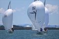 Brisbane Etchells Fleet Championships © Bradley Ginnivan