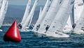 2026 Etchells Pacific Coast Championship &copy; Mark Albertazzi