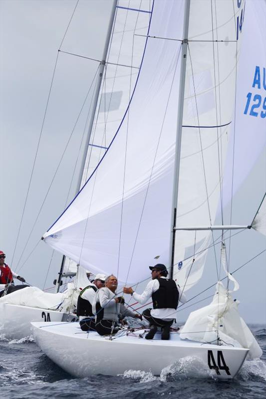 John Bertand in Triad2 coming into a finish during the 2017 Etchells Australian Championship at Royal Prince Alfred YC photo copyright Stephen Collopy / RPAYC taken at Royal Prince Alfred Yacht Club and featuring the Etchells class