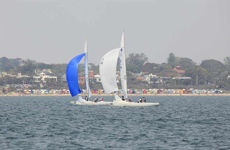 Shoulda Gone Left and Highlander duke it out on the run back down the beach on day 2 of the 2020 Etchells Australian Championship photo copyright John Curnow taken at Royal Brighton Yacht Club and featuring the Etchells class